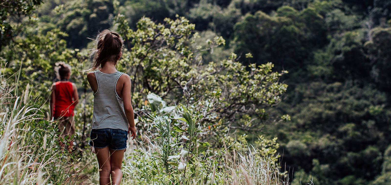 Hiking trail through SAFCOL forestry plantation