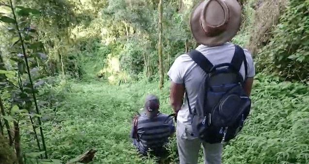 Magoebaskloof hiking trail